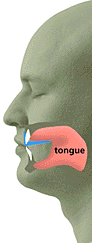 Nose Breathe Mouthpiece Illustration